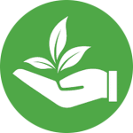 Eco-Friendly
